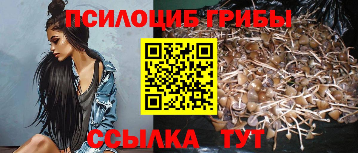 Псилоцибиновые грибы прущие грибы Куйбышев